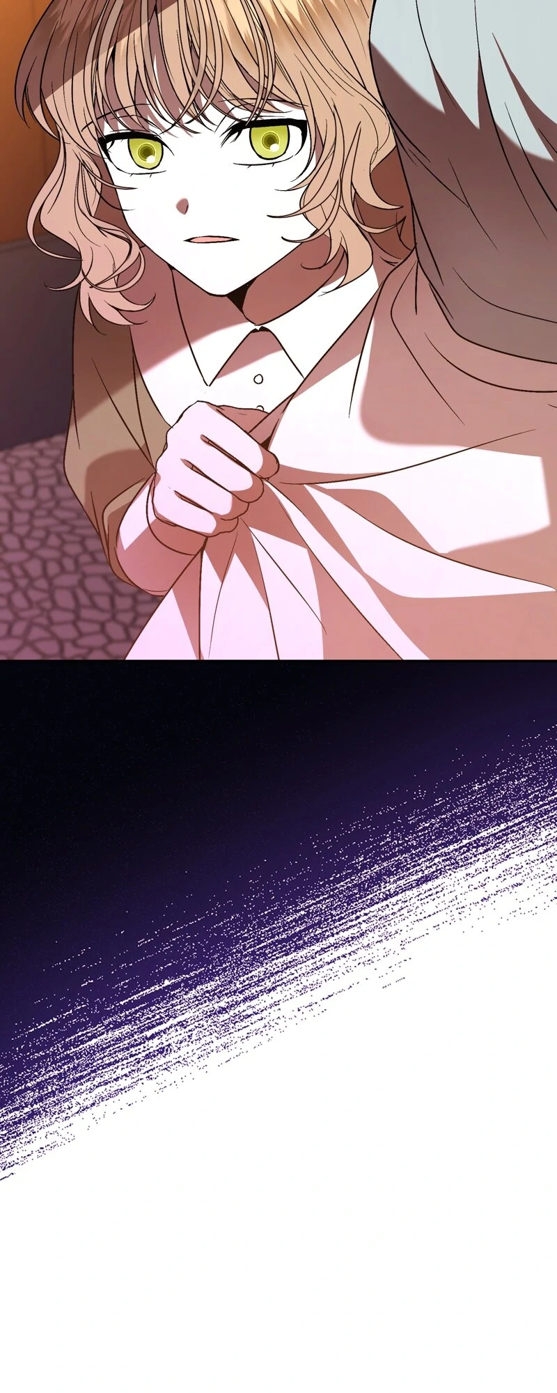 The Handmaiden Dreams at Sunset Chapter 54 page 67