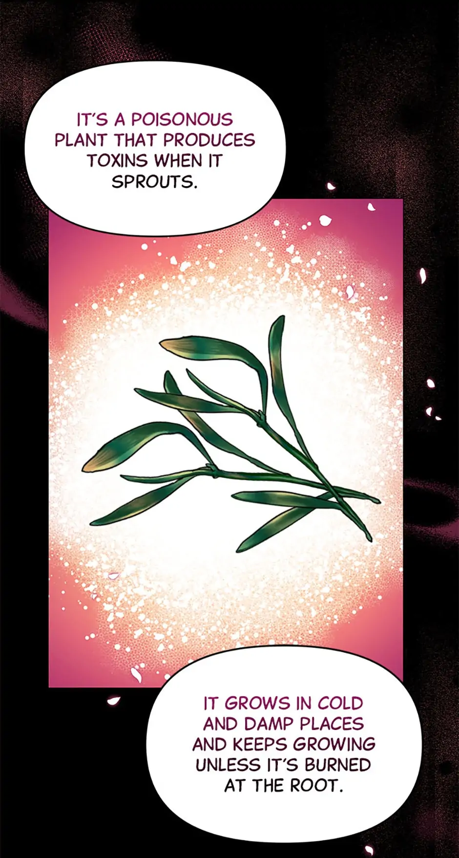 The Land Lord’s Baby Retires Chapter 48 page 78