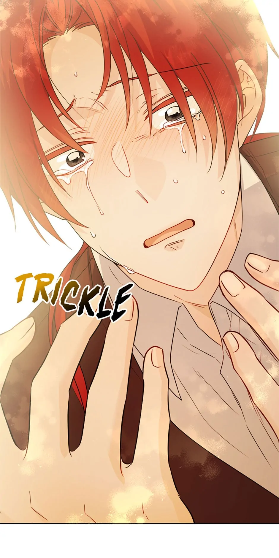 The Male Lead Is In Charge Of The Successor Chapter 25 page 19