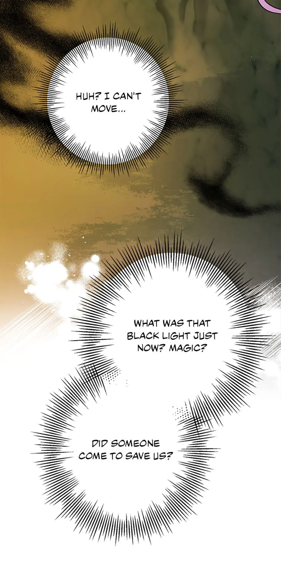 The Male Leads Were Stolen by the Extra Chapter 10 page 72