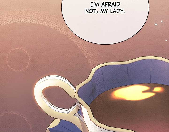 The Marquis and the Iron Wall Lady Chapter 3 page 108