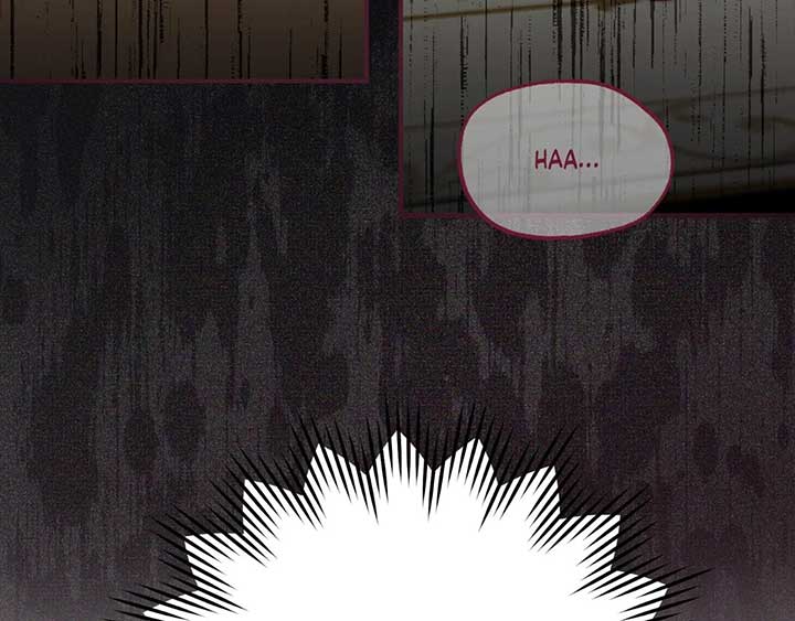 The Marquis and the Iron Wall Lady Chapter 3 page 134