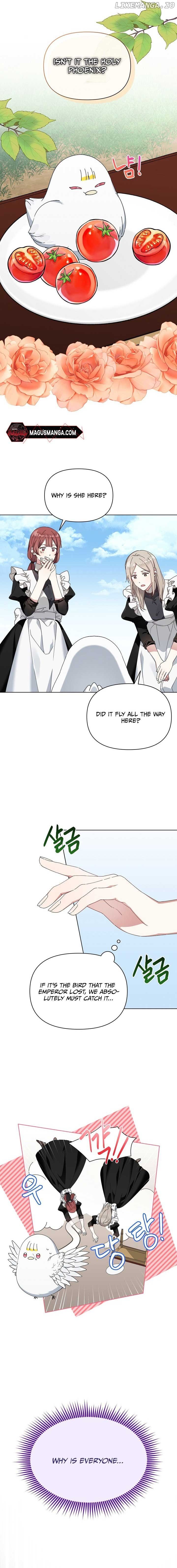 The New Empress Chapter 11 page 5