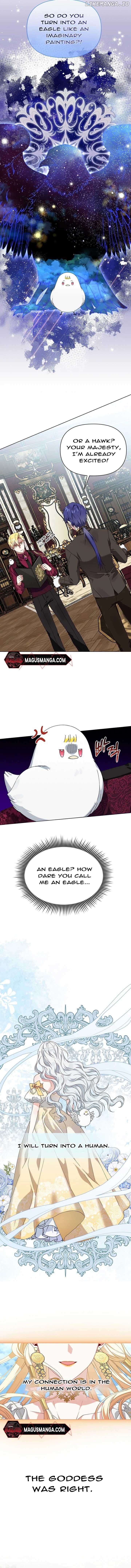 The New Empress Chapter 7 page 5