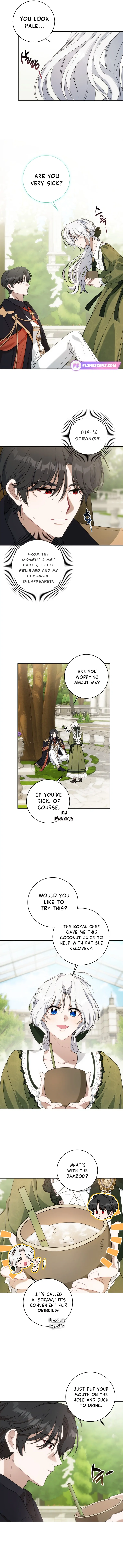 The Obsessive Emperor’s Capable Pharmacist Chapter 13 page 2