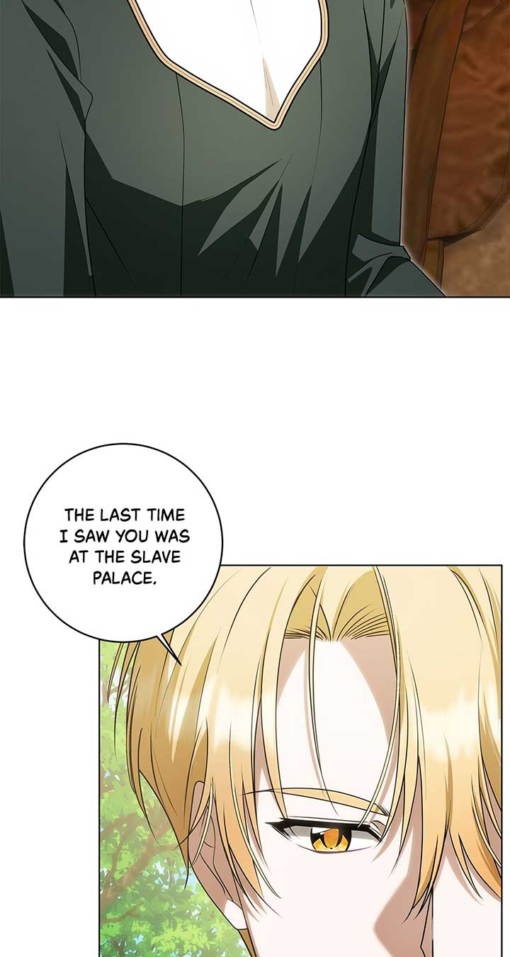 The Obsessive Emperor’s Capable Pharmacist Chapter 31 page 44