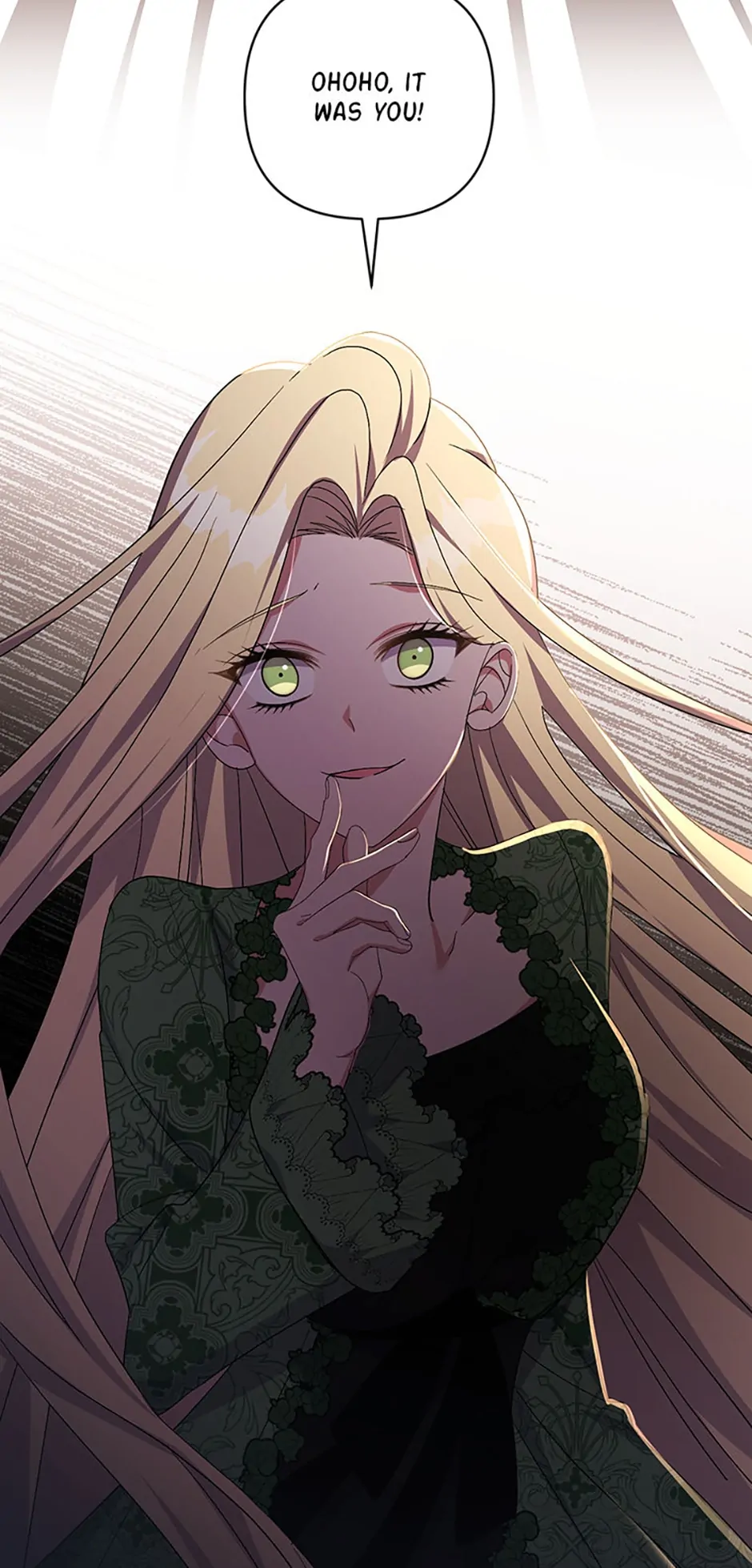 The Obsessive Second Male Lead Has Gone Wild Chapter 29 page 27