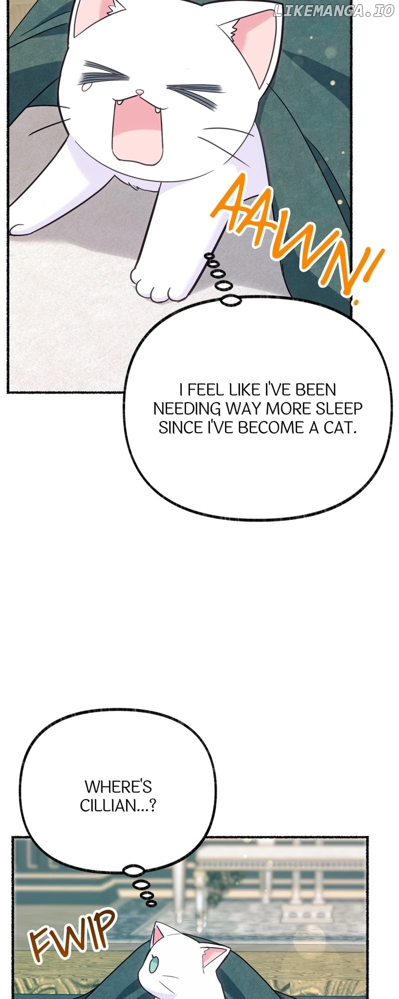 The Possesive Tyrant and His Sleepy Cat Chapter 5 page 21