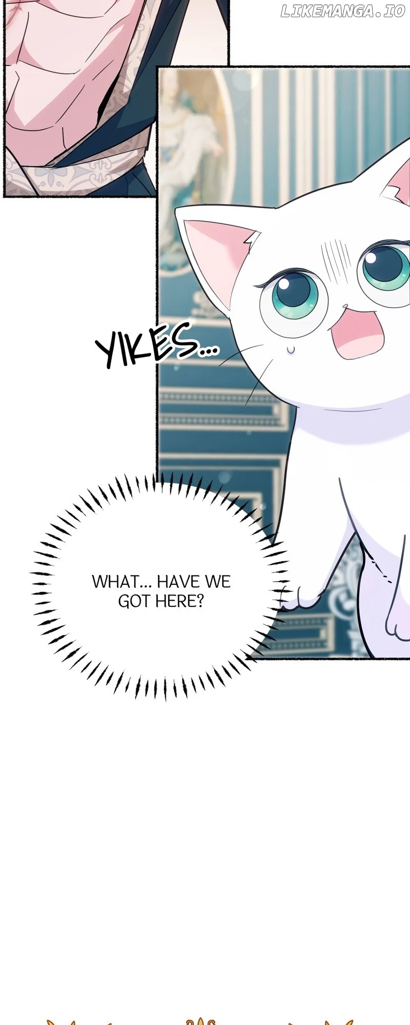 The Possesive Tyrant and His Sleepy Cat Chapter 5 page 35