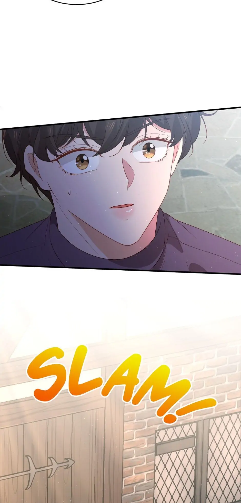 The Prince’s Personal Physician Chapter 17 page 31
