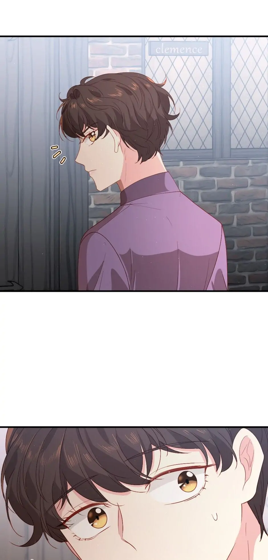 The Prince’s Personal Physician Chapter 17 page 33