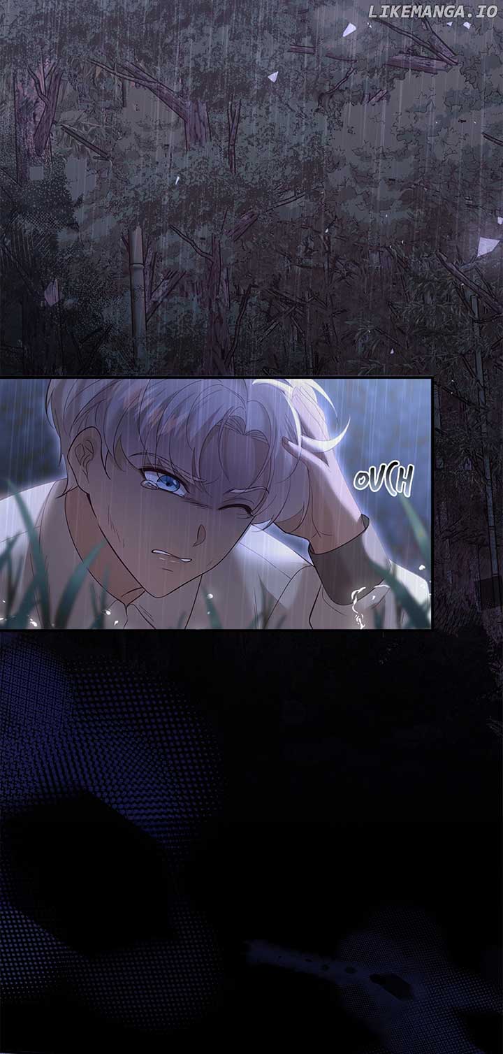 The Prince’s Personal Physician Chapter 72 page 67