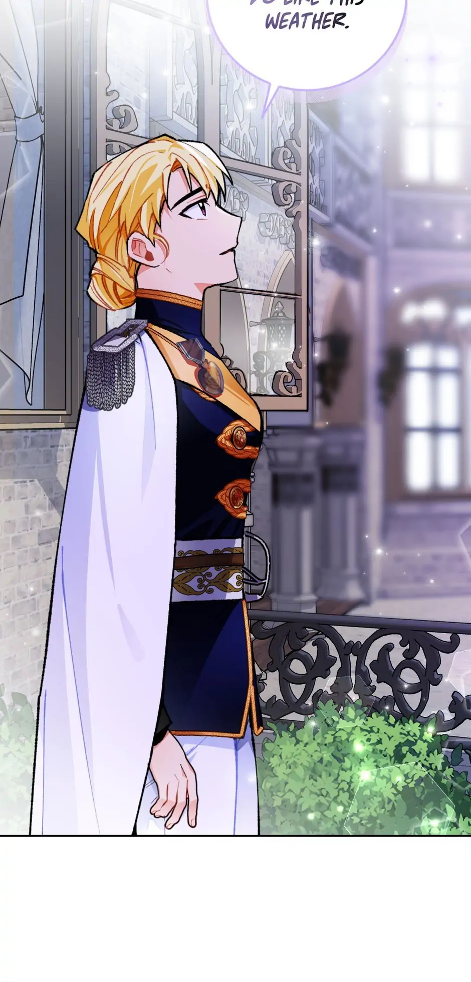 The Princess Doesn’t Want To Marry Her Ideal Type Chapter 19 page 24
