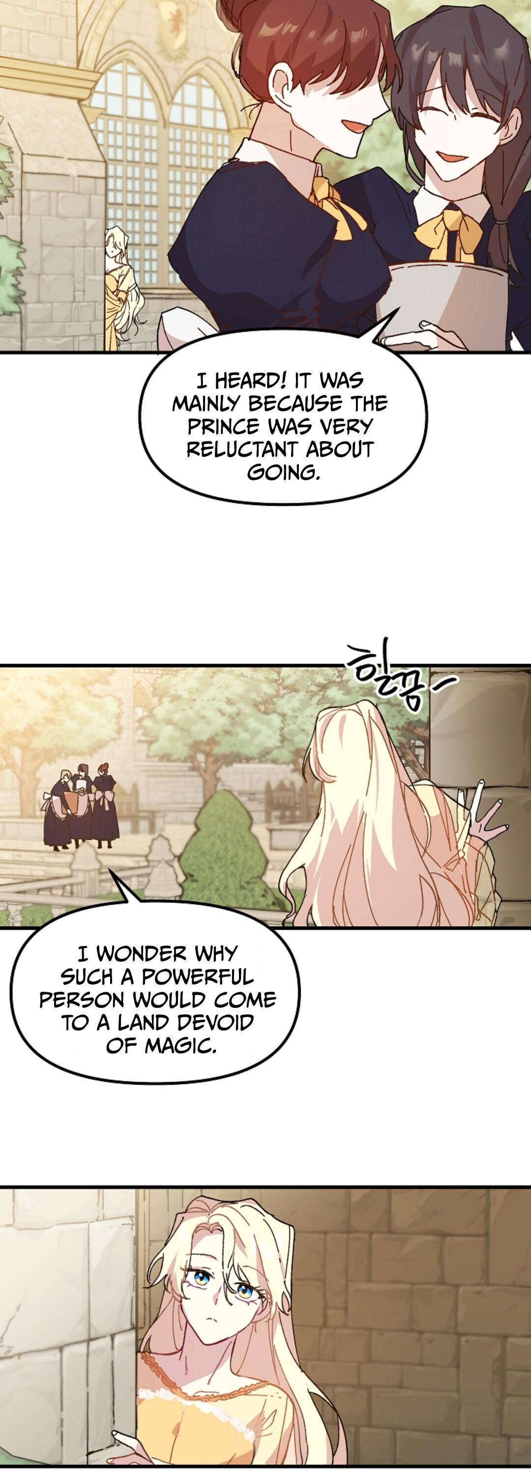 The Princess Pretends To Be Crazy Chapter 3 page 11