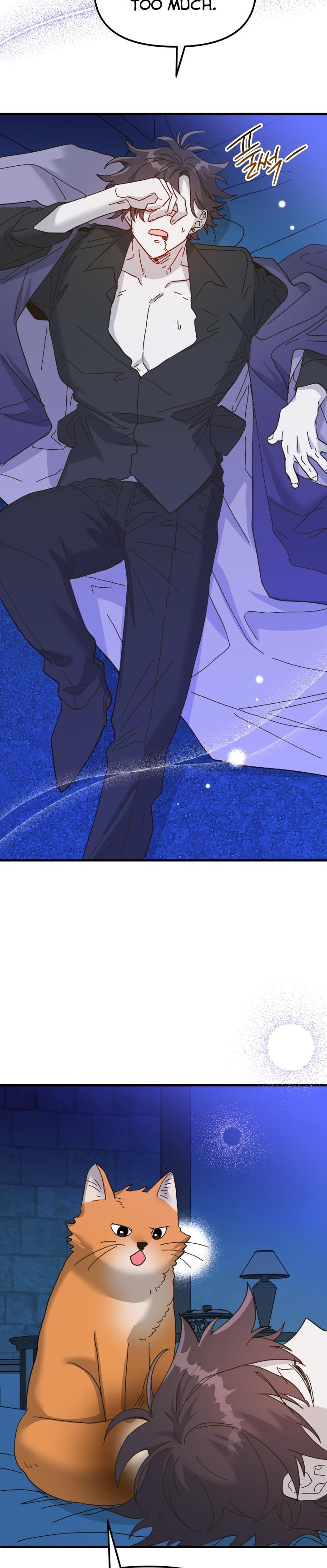 The Princess Pretends To Be Crazy Chapter 56 page 38