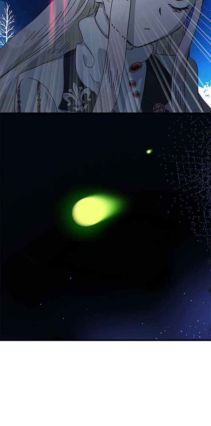 The Princess Wants to Die Comfortably Chapter 66 page 11