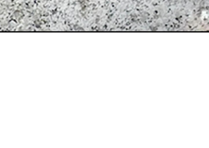The Queen’s Life was At Stake Chapter 62 page 41