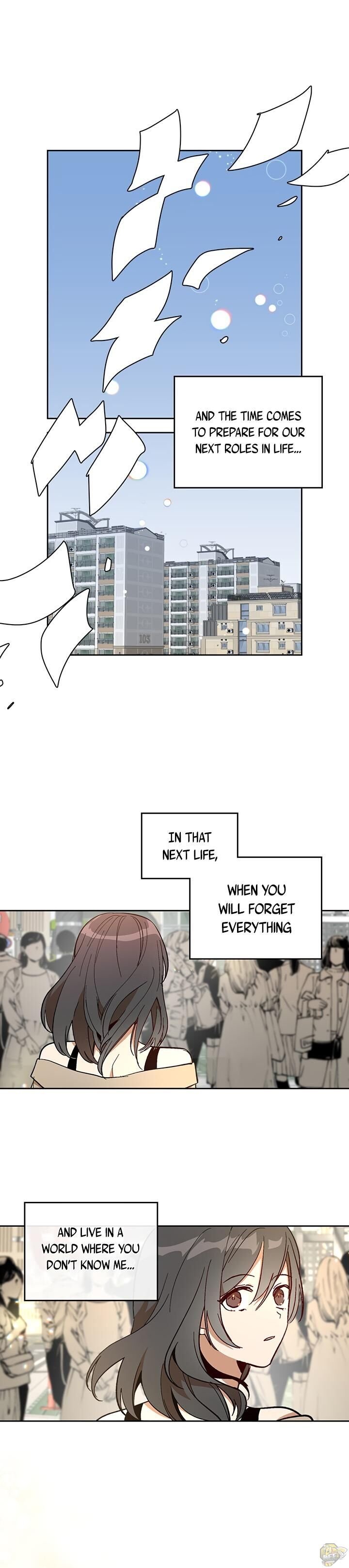 The Reason Why Raeliana Ended up at the Duke’s Mansion Chapter 147 page 14