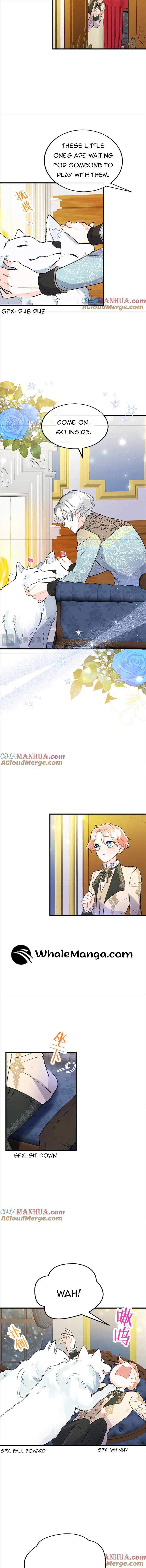The Reason Why The Twin Lady Crossdresses Chapter 71 page 2