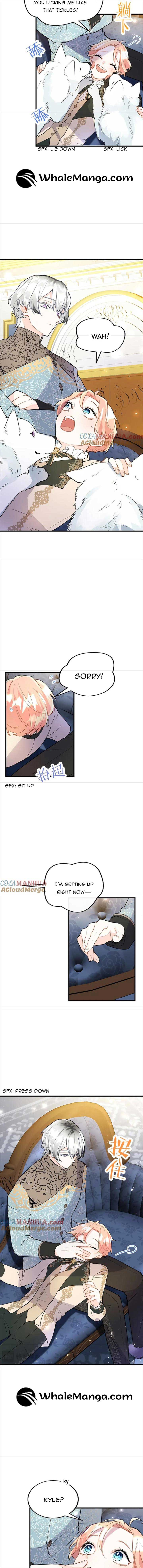 The Reason Why The Twin Lady Crossdresses Chapter 71 page 3