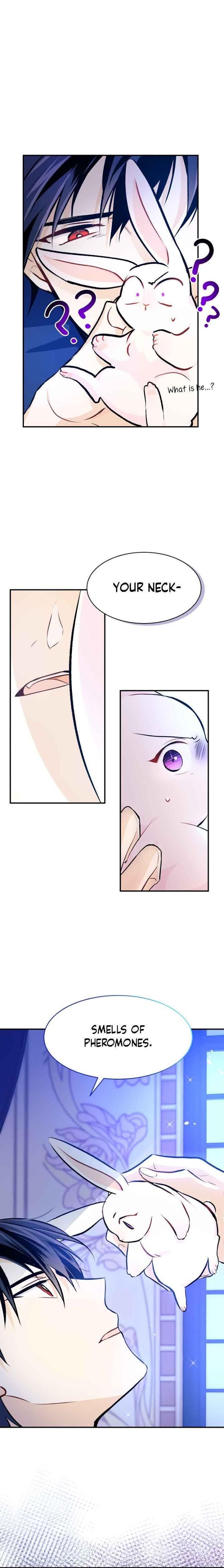The Symbiotic Relationship Between the Rabbit and the Black Panther Chapter 4 page 15