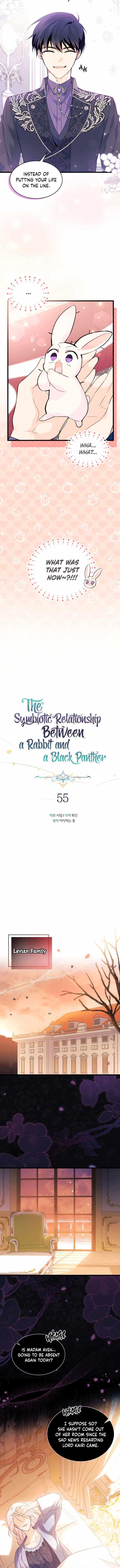 The Symbiotic Relationship Between the Rabbit and the Black Panther Chapter 55 page 4