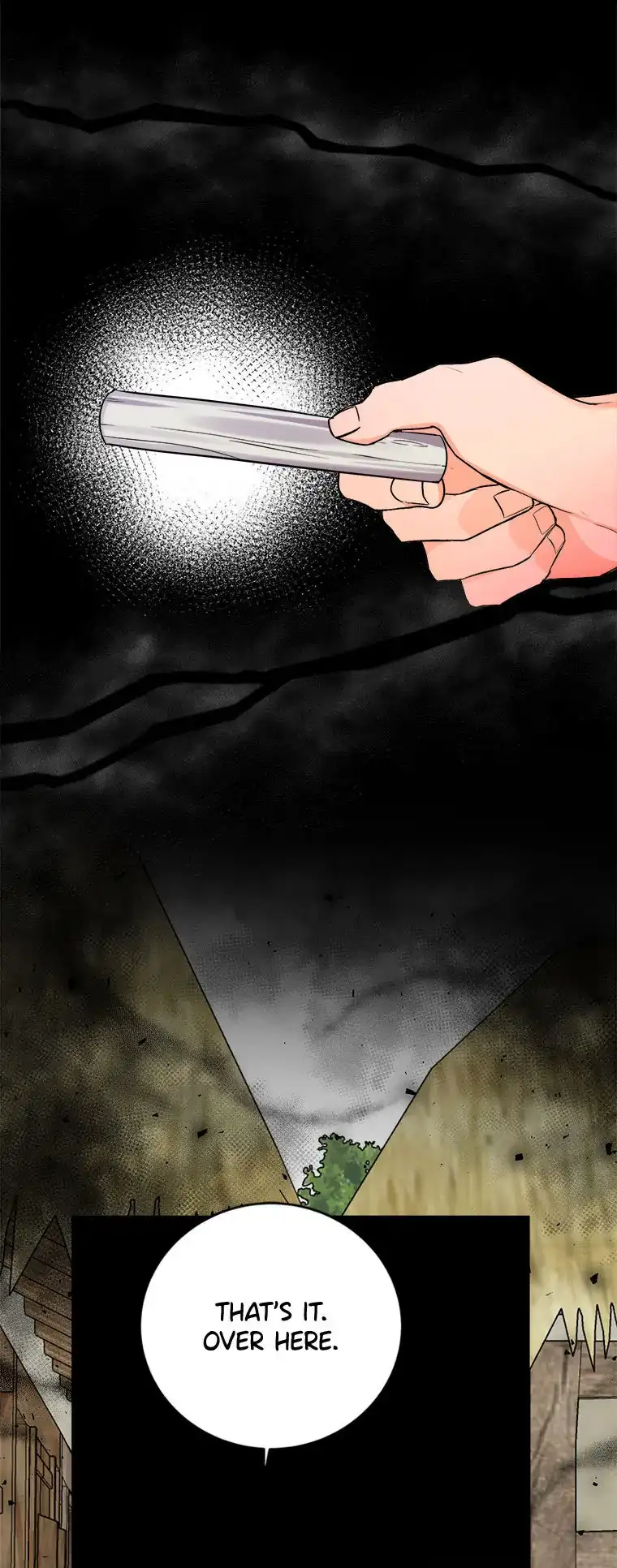 The Tale of the Tiger Girl Chapter 36 page 32