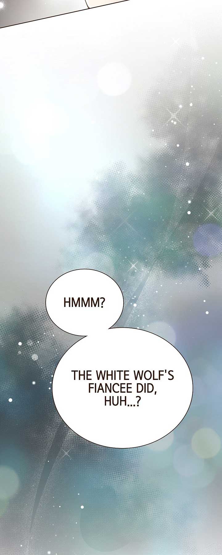 The White Wolf’s Bride Chapter 46 page 14