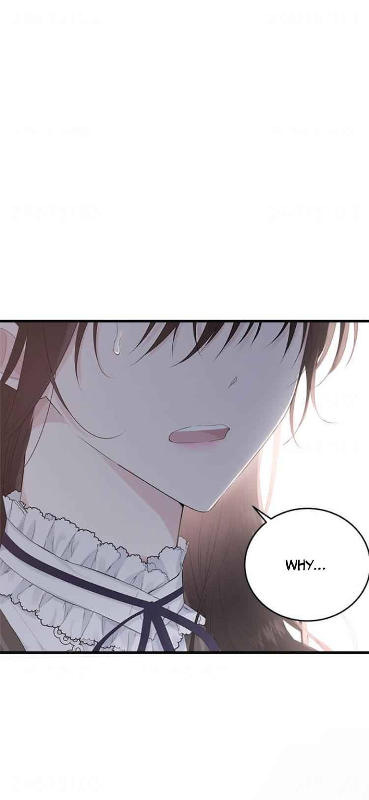 The Young Lady I Served Became a Young Master Chapter 45 page 1