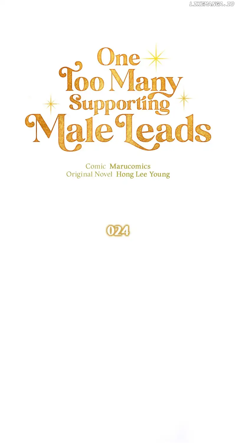 There Are Too Many Second Male Leads! Chapter 24 page 17