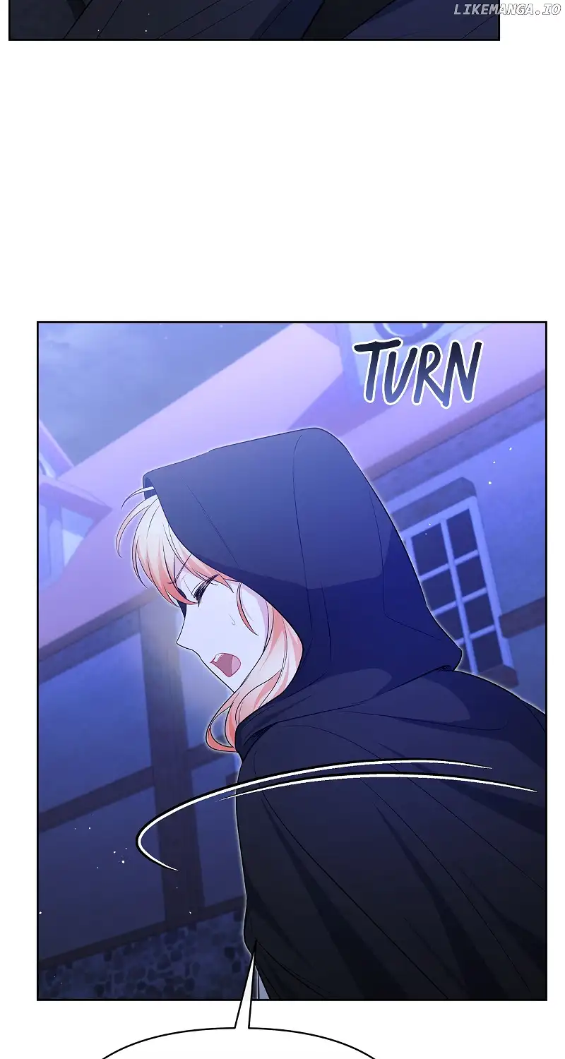 There Are Too Many Second Male Leads! Chapter 24 page 29