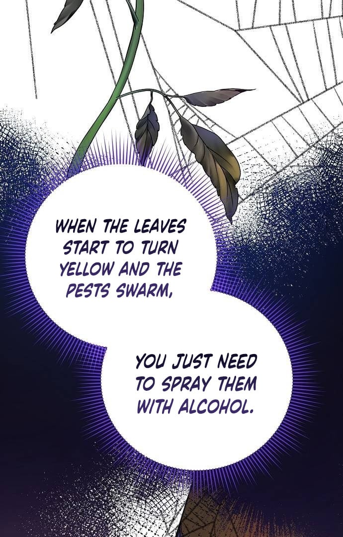 Until the Real One Shows Up Chapter 33 page 64