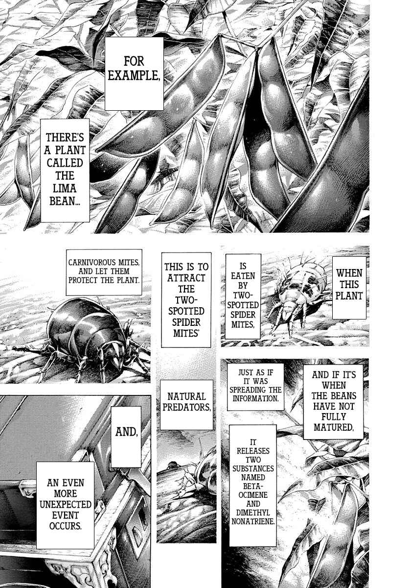 Usogui Chapter 291 page 4