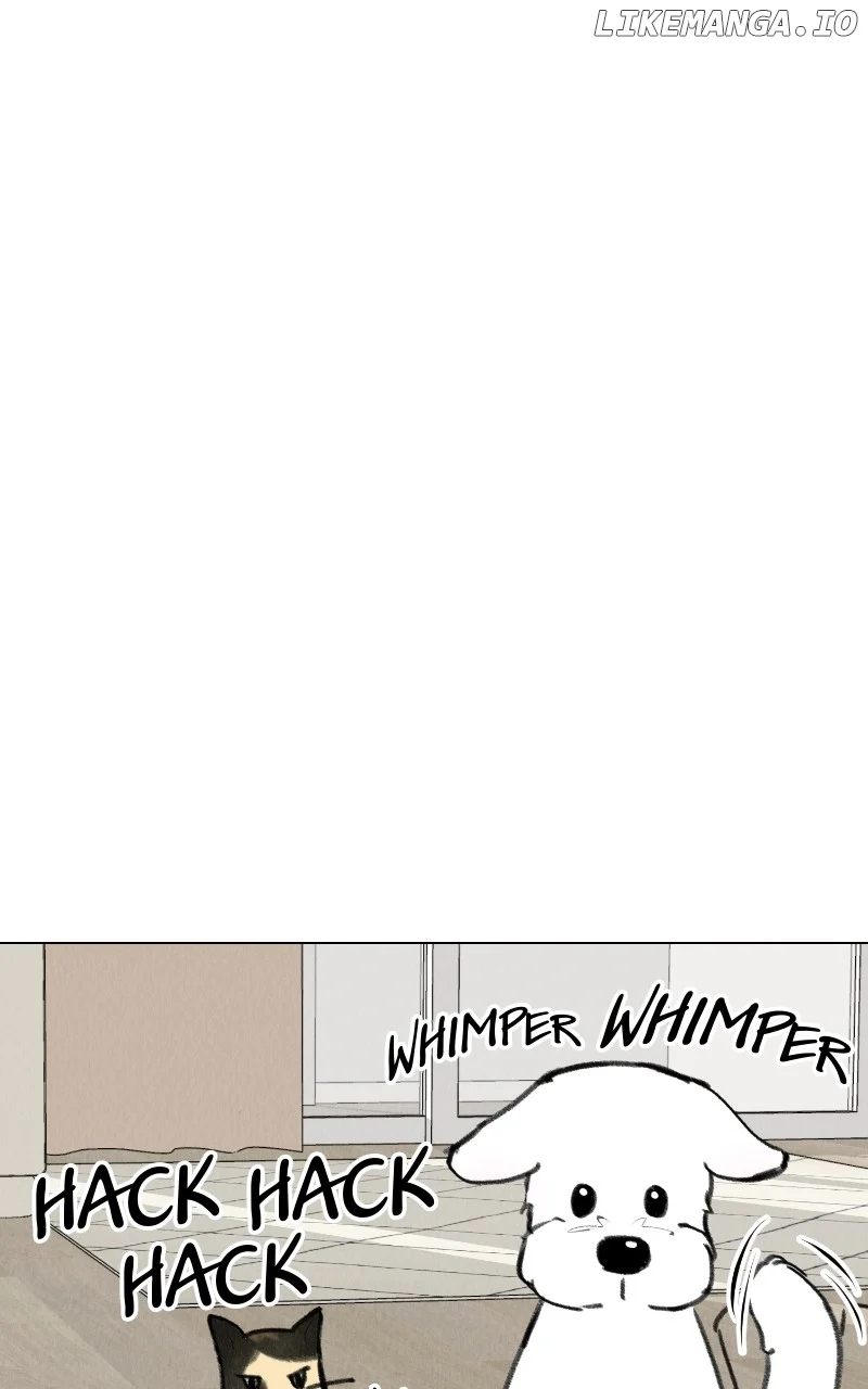 Want to See My Cat? Chapter 28 page 47