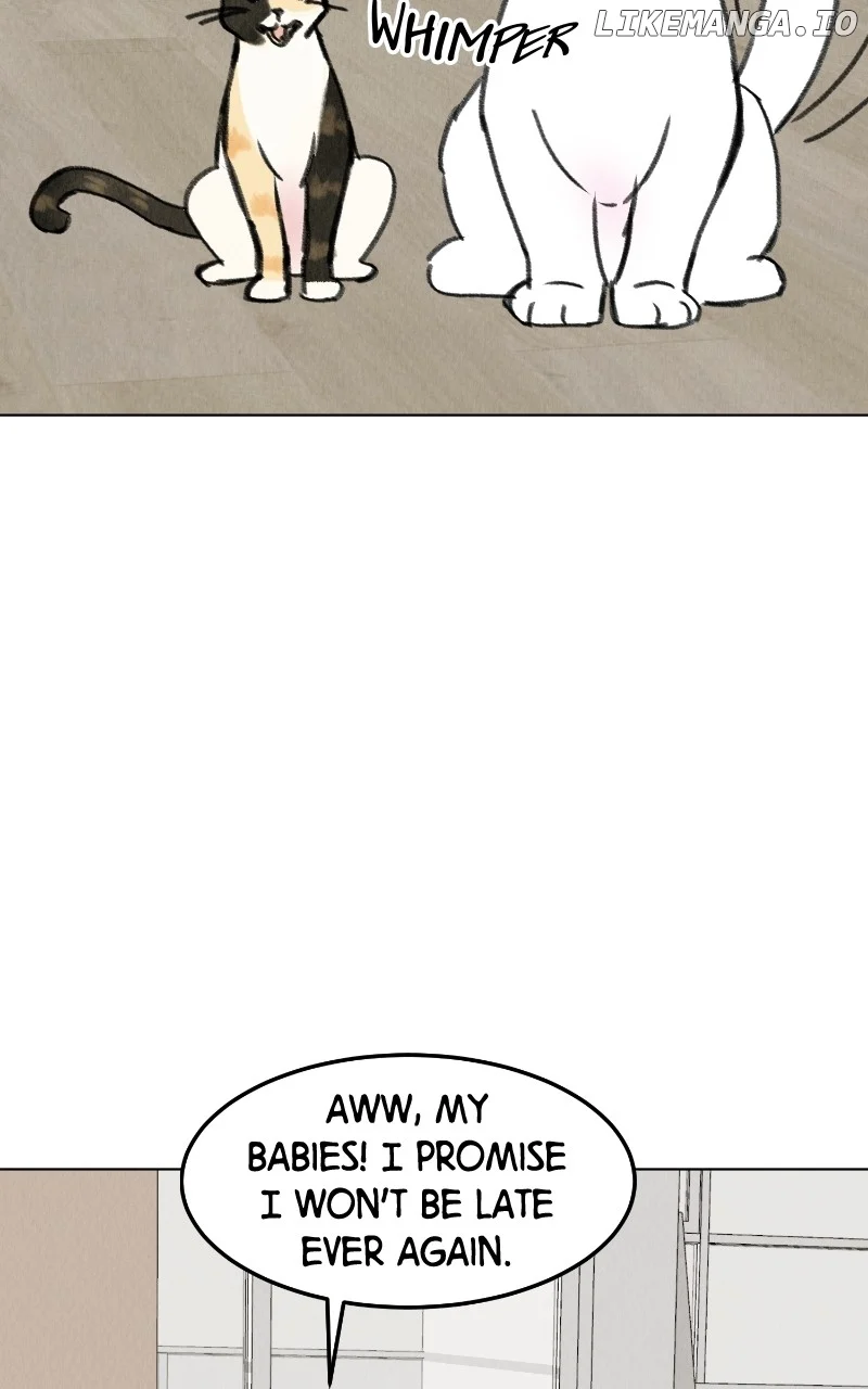 Want to See My Cat? Chapter 28 page 48