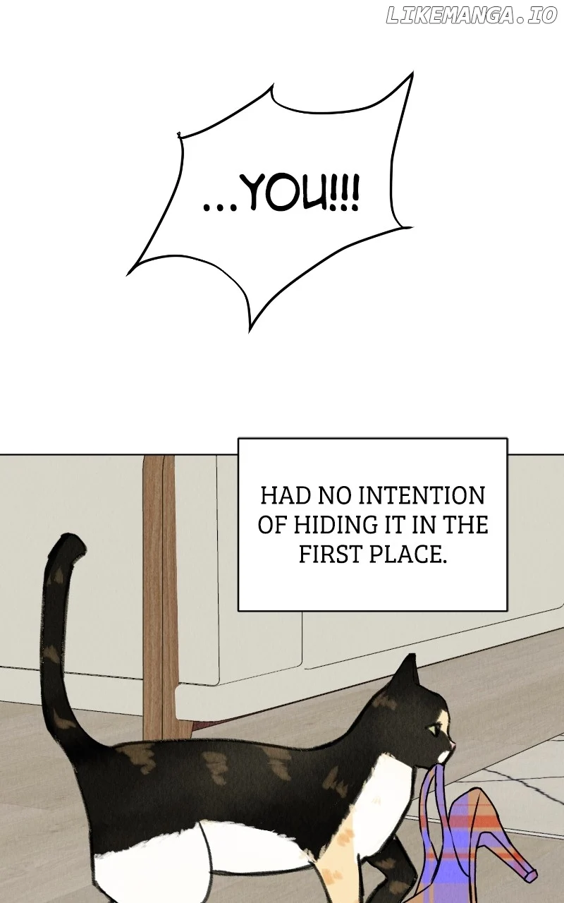 Want to See My Cat? Chapter 28 page 52