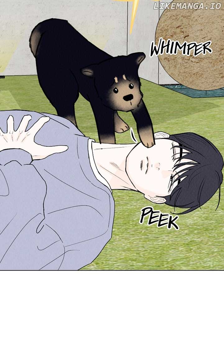 Want to See My Cat? Chapter 42 page 53