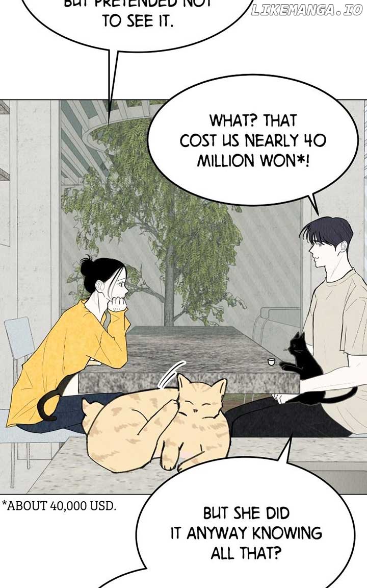 Want to See My Cat? Chapter 54 page 50