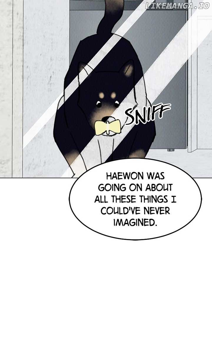 Want to See My Cat? Chapter 54 page 52