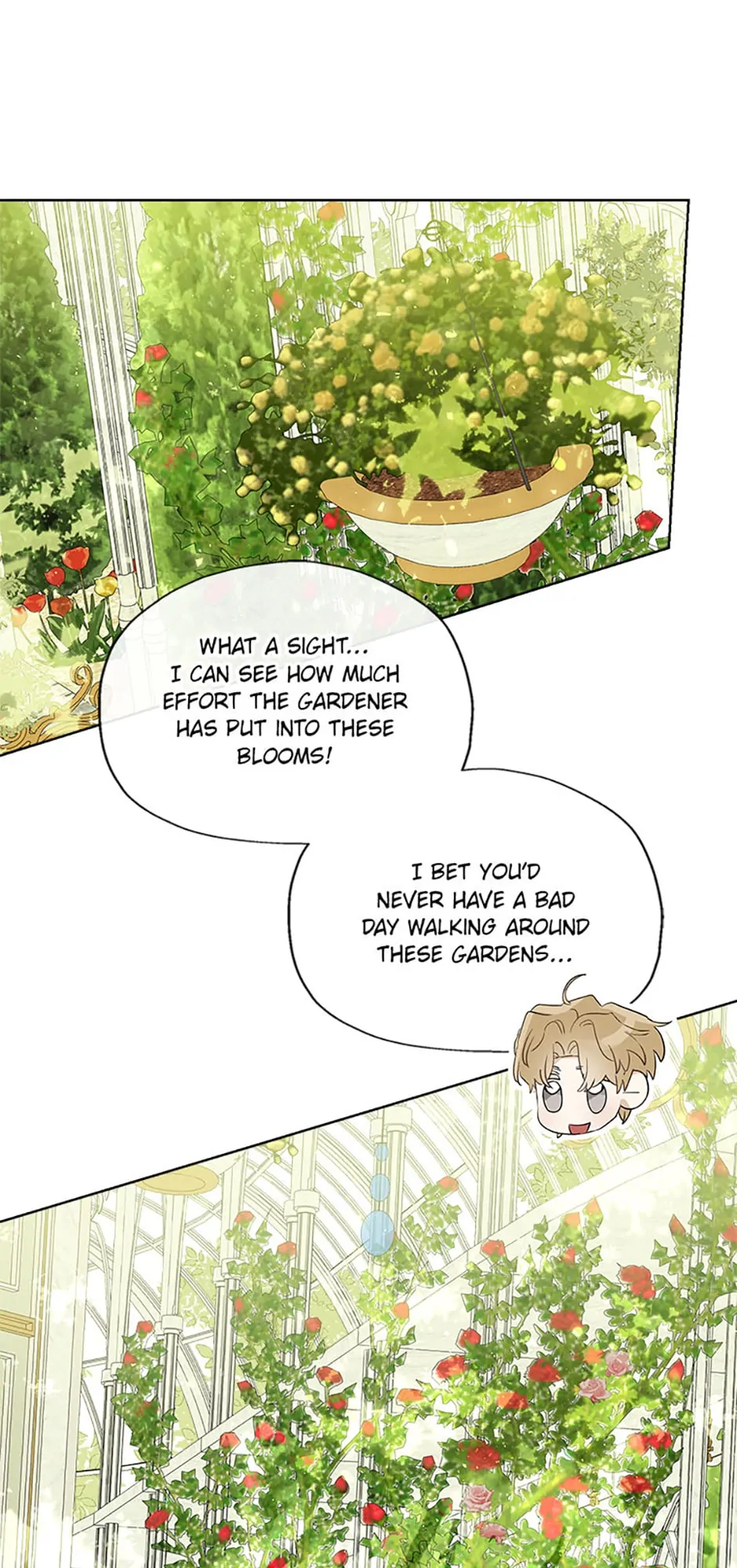 When The Count’s Illegitimate Daughter Gets Married Chapter 65 page 29