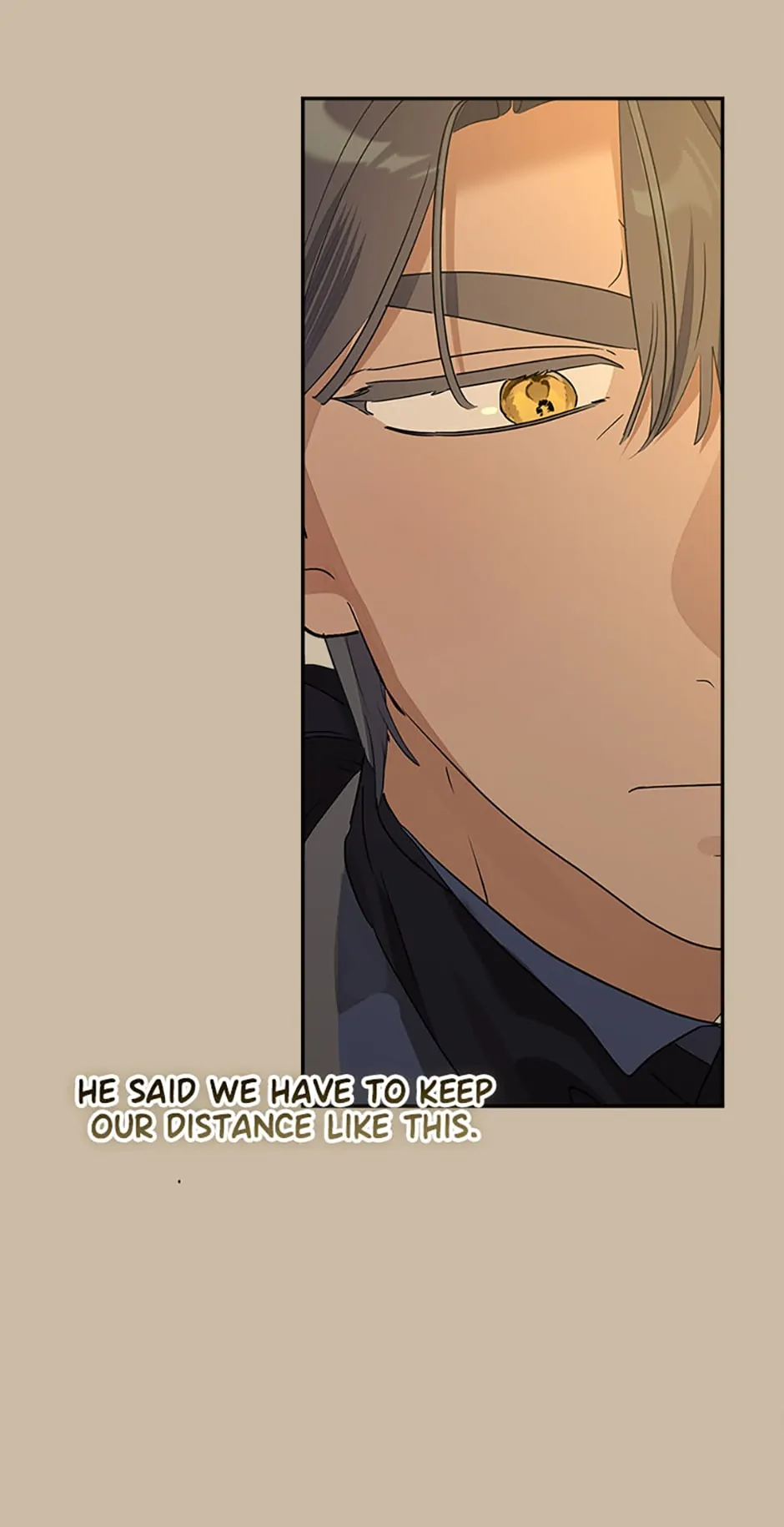 When The Count’s Illegitimate Daughter Gets Married Chapter 78 page 79