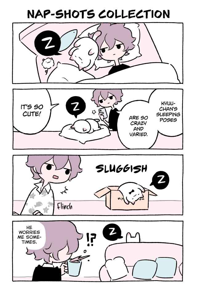 Wonder Cat Kyuu-chan Chapter 338 page 0