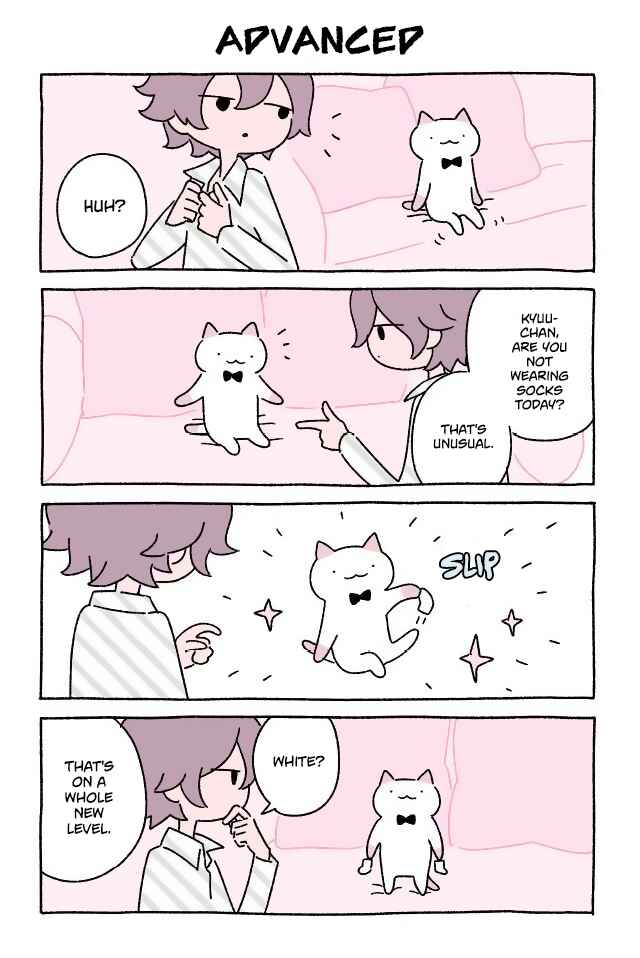 Wonder Cat Kyuu-chan Chapter 62 page 0