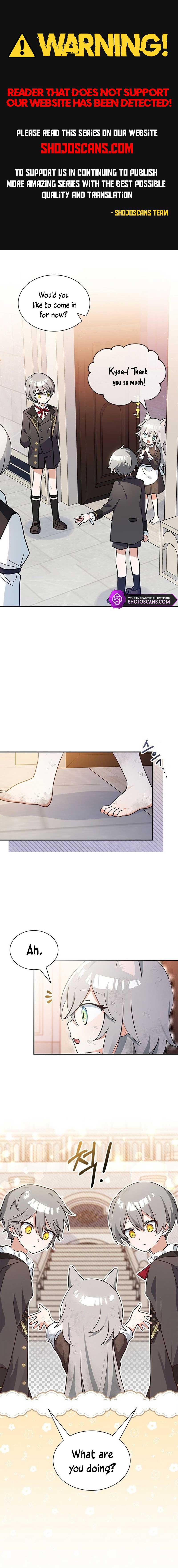 You’re a Cat, But You’ve Been Adopted by a Wolf Family? Chapter 2 page 0
