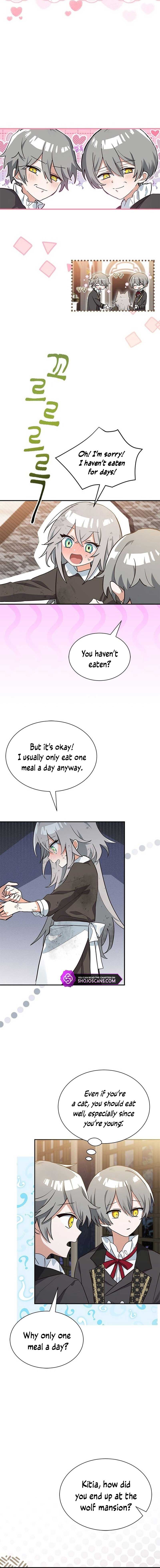 You’re a Cat, But You’ve Been Adopted by a Wolf Family? Chapter 2 page 5