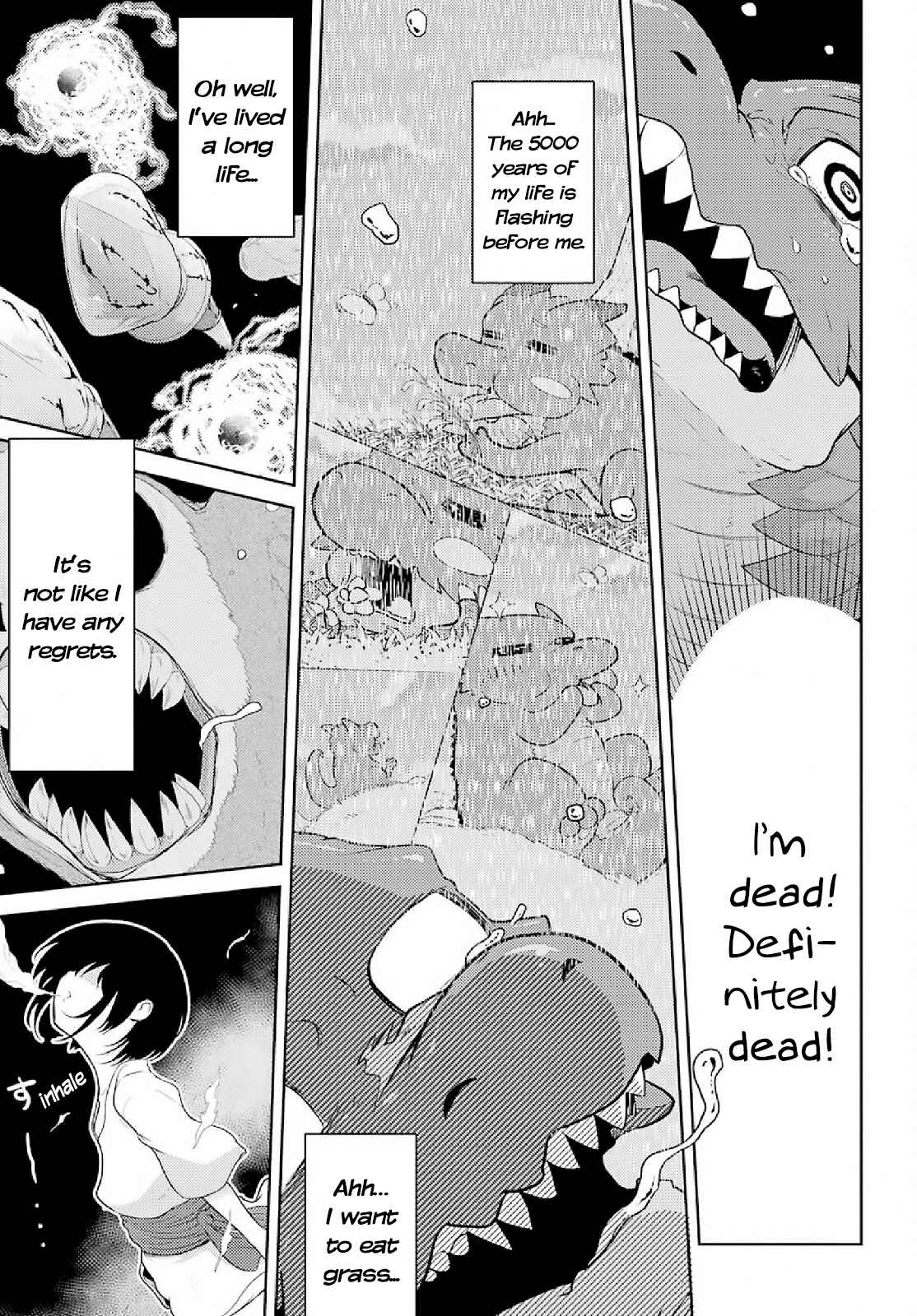 Yowai 5000-nen no Soushoku Dragon, Iware naki Jaryuu Nintei: Yada Kono Ikenie, Hito no Hanashi wo Kiite Kurenai Chapter 2 page 27